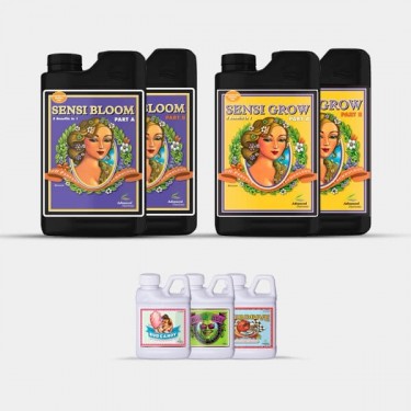 AN Simple Pack Sensi