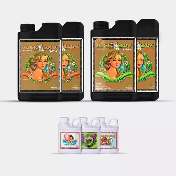 AN Simple Pack Sensi Coco