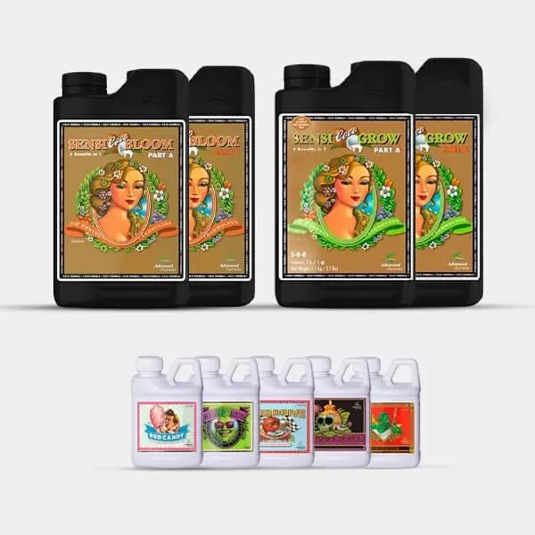 AN Advanced Pack Sensi Coco