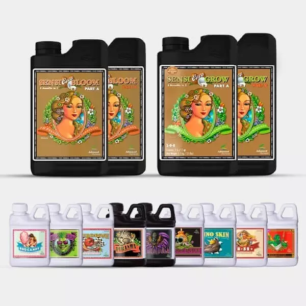 AN Professional Pack Sensi Coco