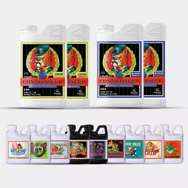 AN Professional Pack Connoisseur