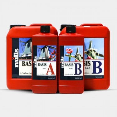 View Basis A+B