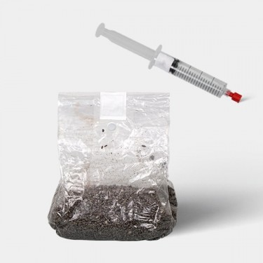 Mikroskopisches Studienkit für Pilzsporen (mit Tasche)