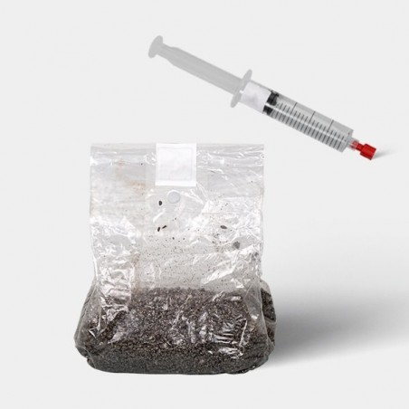 Mikroskopisches Studienkit für Pilzsporen (mit Tasche)