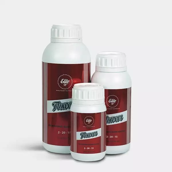 Sicht Flowers Elite 91