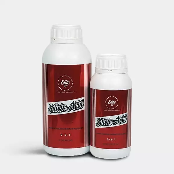 Sicht Silicic Acid Elite 91