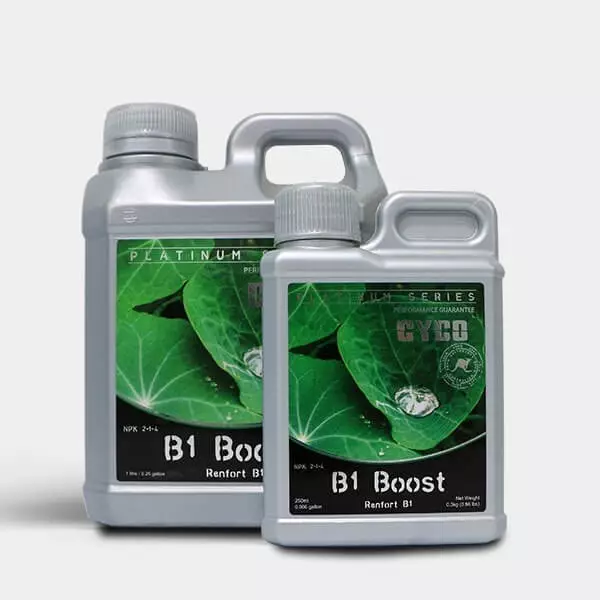 Sicht B1 Boost