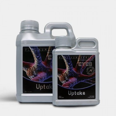 View Uptake