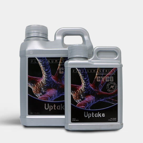 View Uptake