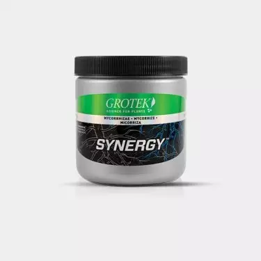 Synergy Organics 400