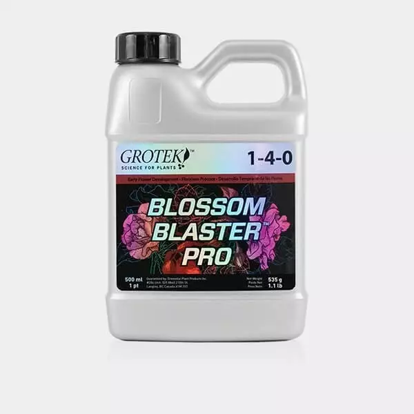 Sicht Blossom Blaster Pro 500