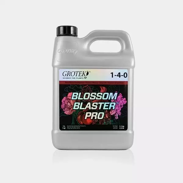 Blossom Blaster Pro 1