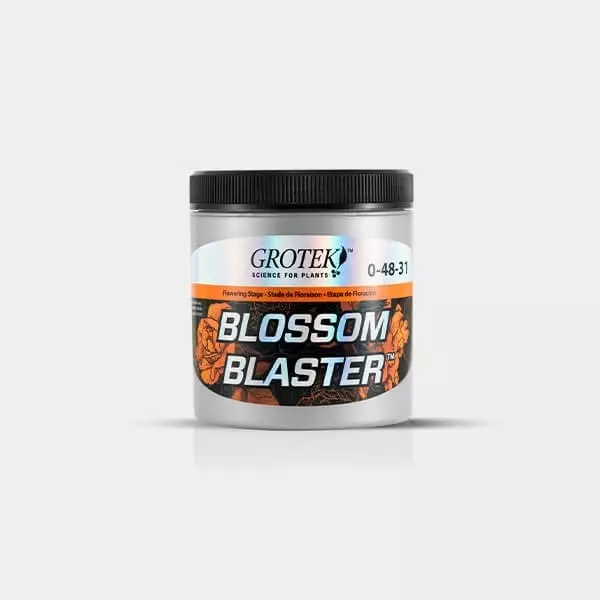 Blossom Blaster 130