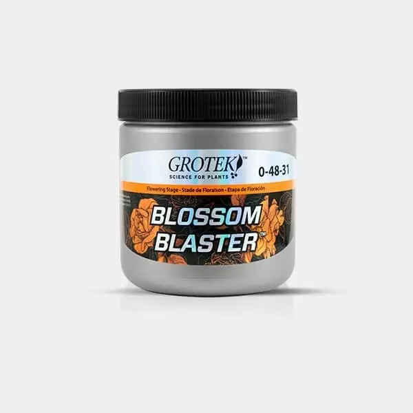 Blossom Blaster 500