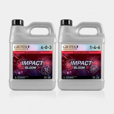 Impact Bloom A+B 1