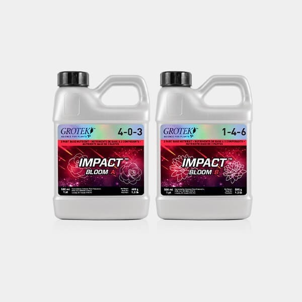 View Impact Bloom A+B 500