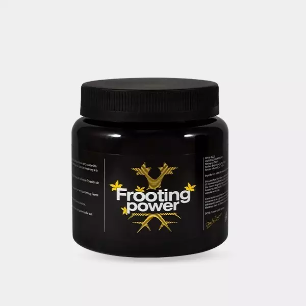 Sicht Frooting Power 325ml