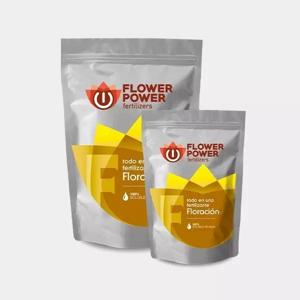 Sicht Floración flower power