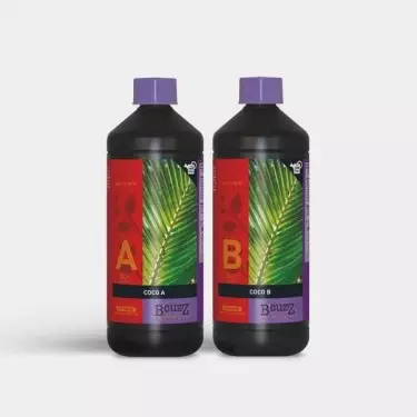 Coco A+B Atami B'cuzz 1L