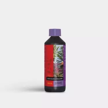 Coco Bloomstimulator 500ml