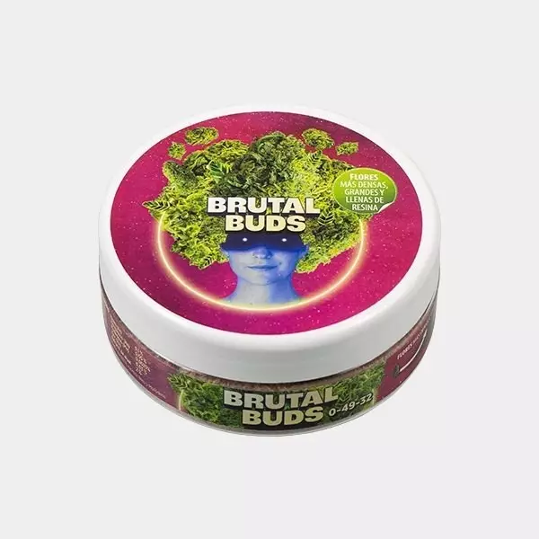 Sicht Brutal Buds 250g