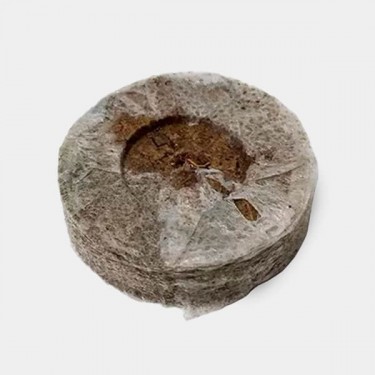 Jiffy7 de Turba 24mm