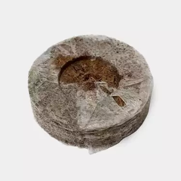 Jiffy7 de Turba 24mm