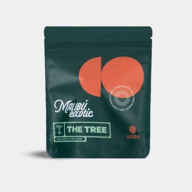 View Flores The Tree CBD Indoor 'Malibu Exotic'