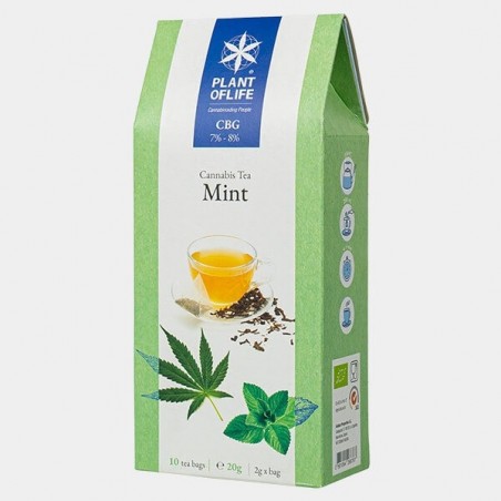 CBG-Infusion 8% Minze