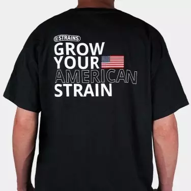 Strain Box 1 Hinterteil