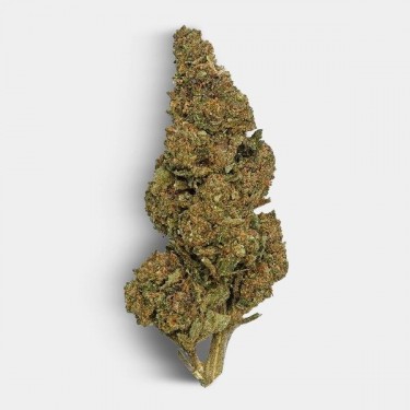 CBD-Blüten The Family REAL TALK bud