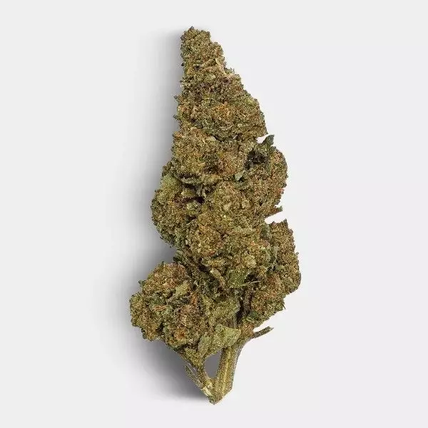 CBD-Blüten The Family REAL TALK bud