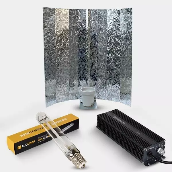 Kit Lamarck 600W Regulable con estuco