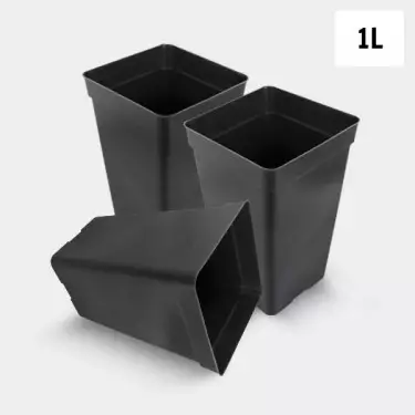 Pack Maceta Cuadrada 1L - GB The Green Brand
