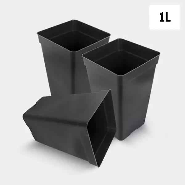 Quadratischer Topf 1 l Packung Pack Quadratischer Topf 1L - GB The Green Brand