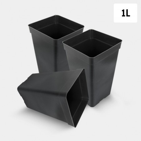 Pack Quadratischer Topf 1L - GB The Green Brand