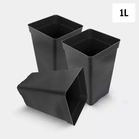 Pack Quadratischer Topf 1L - GB The Green Brand