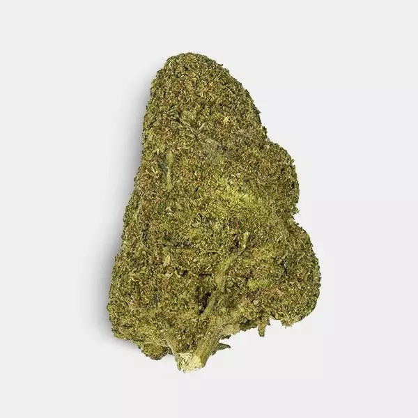 GB CBD-Blüten 'Green Maki' blume