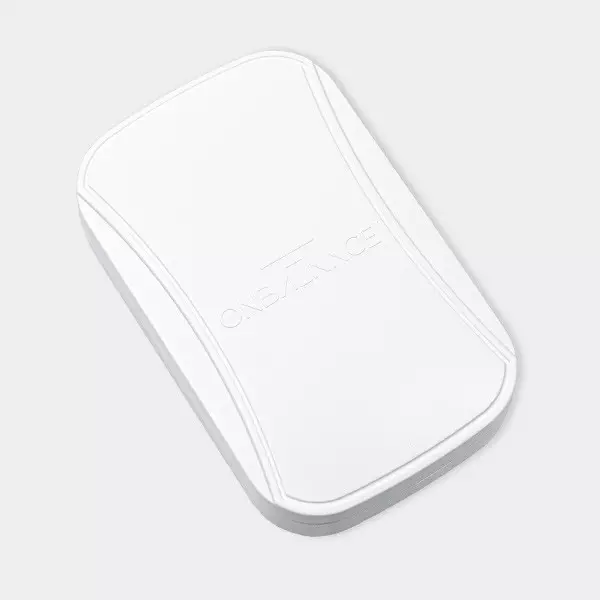 FL-200 Flex Waage (200G X 0.01G)