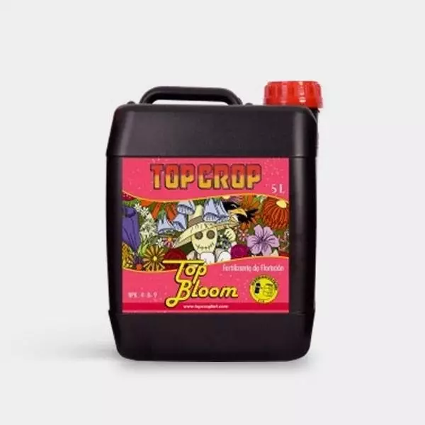 Top Bloom
