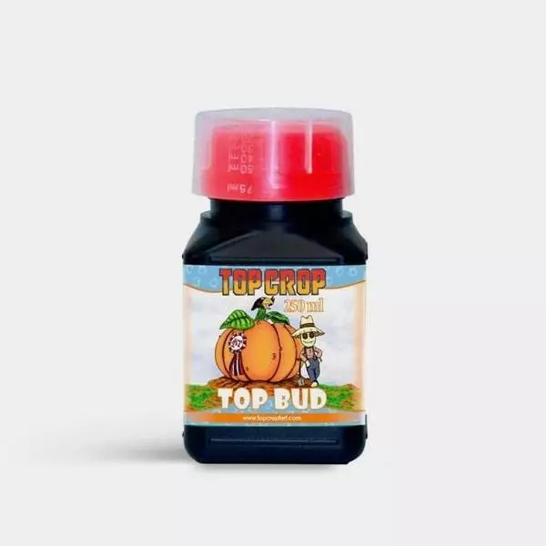 top bud 2