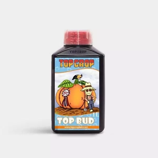 top bud 3
