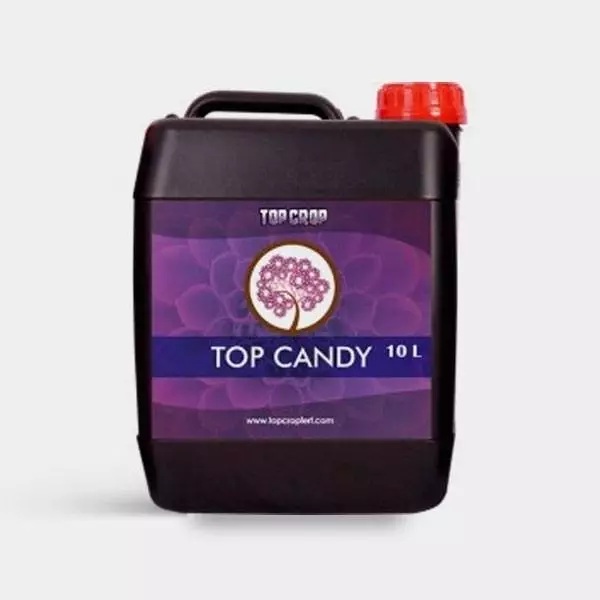 Top Candy
