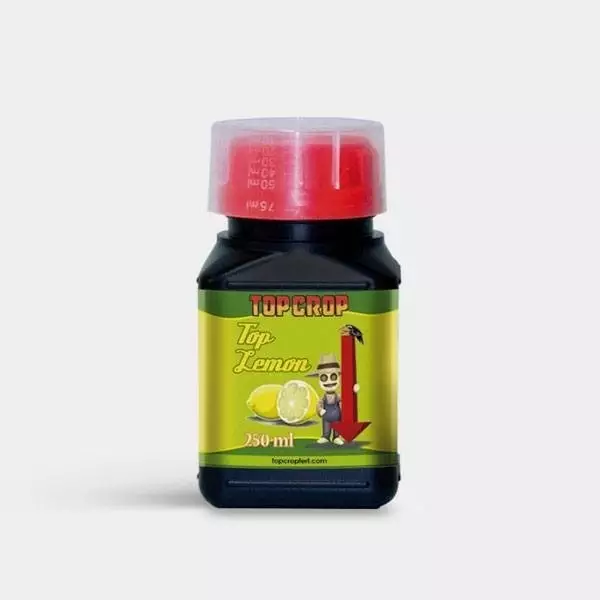 Sicht Top Lemon pH- Konzentrat von Top Crop- GB The Green Brand