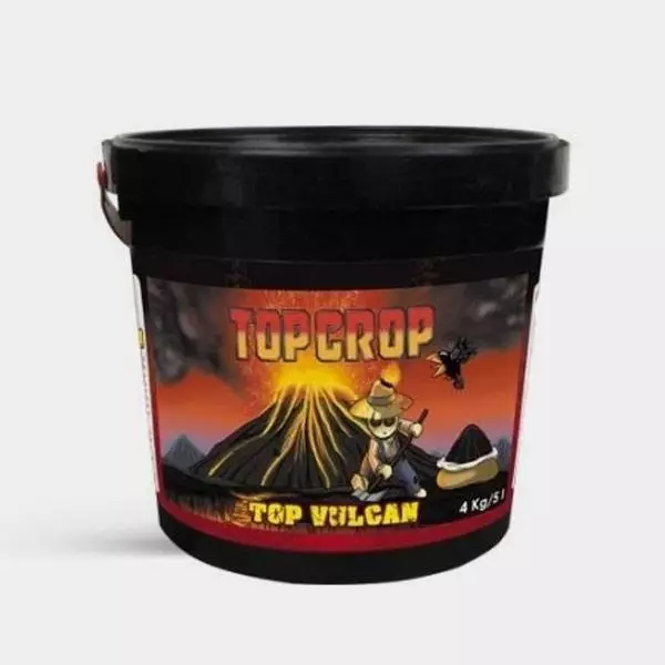 Top Vulkan