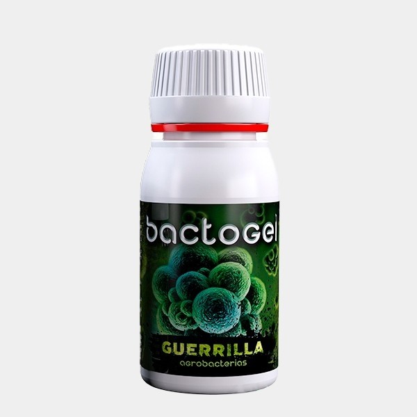 Bactogel Polymere + Bakterien