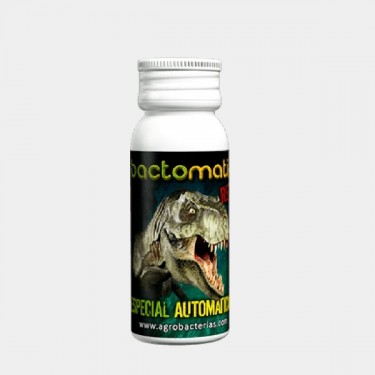 Bactomatik von Agrobakterien für Automatische - Günstig Wachsen