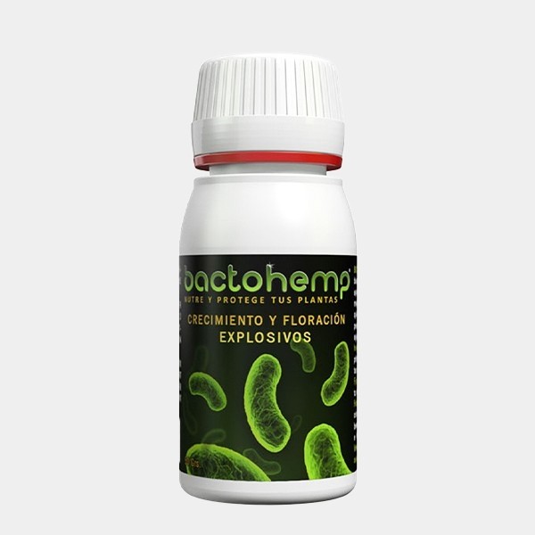 Bactohemp Wachstum