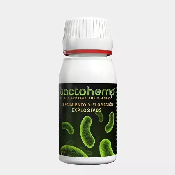 Bactohemp Wachstum