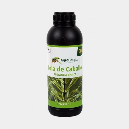 Schachtelhalm BIO